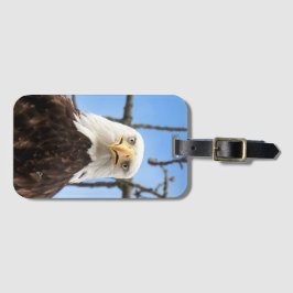 Funny amerikansk Örn Ansikte Wildlife-fotografi Bagagebricka