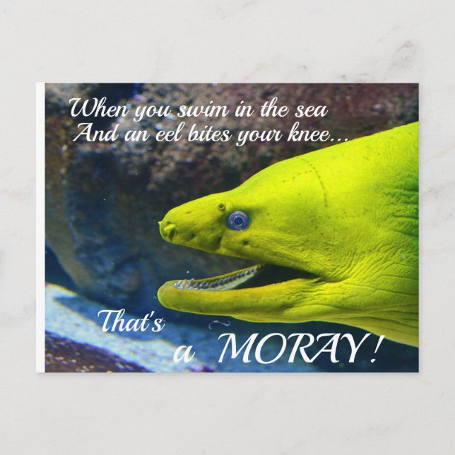 Funny Amore (a Moray) Valentine Vykort (Framsida)