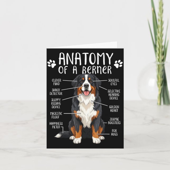 Funny Anatomy Bernese Mountain Dog Cute Berner Lov Kort (Framsida)