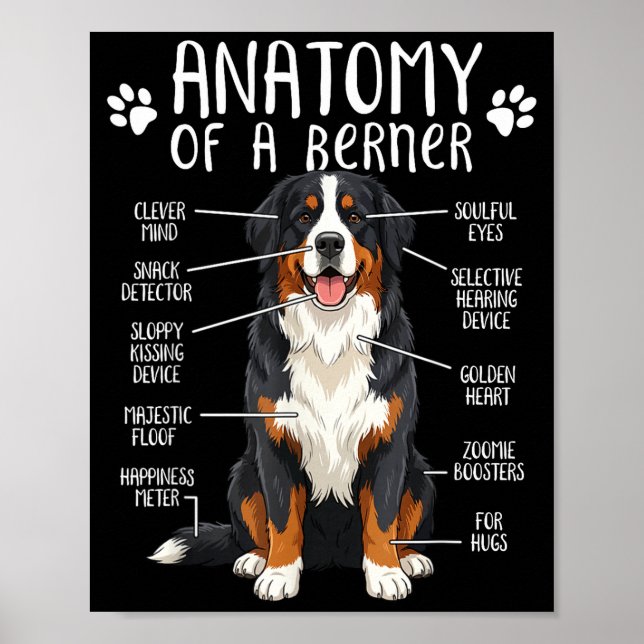 Funny Anatomy Bernese Mountain Dog Cute Berner Lov Poster (Framsidan)