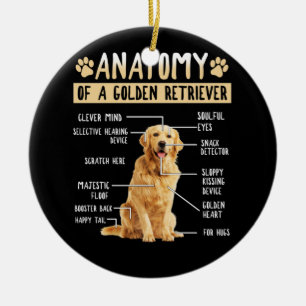 Funny Anatomy Golden Retriever Hund älskare Gift Julgransprydnad Keramik