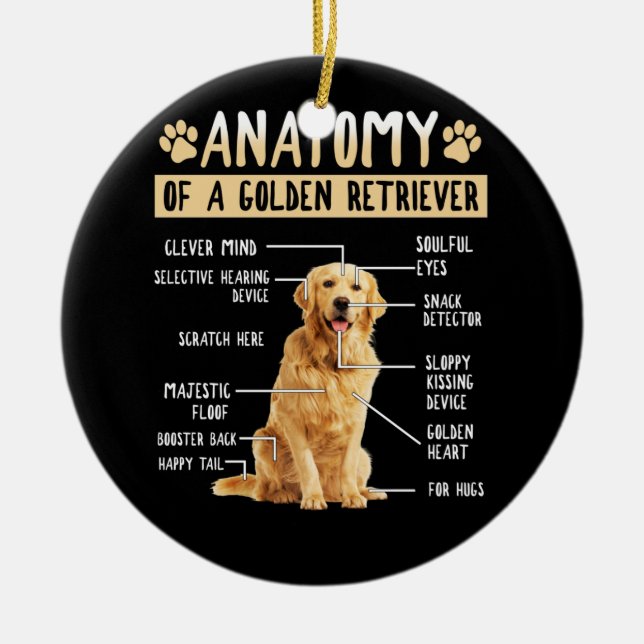 Funny Anatomy Golden Retriever Hund älskare Gift Julgransprydnad Keramik (Framsidan)
