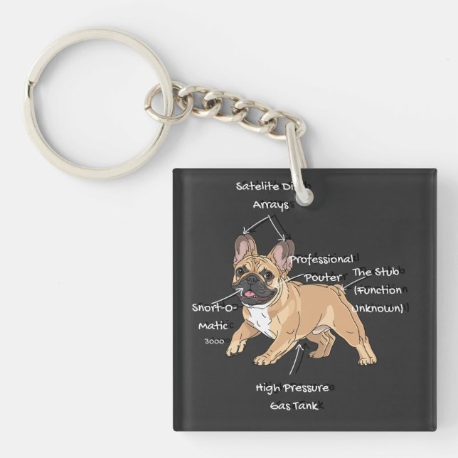 Funny Anatomy of a French Bulldog Illustration (Framsidan)
