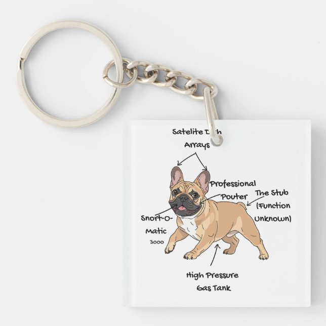 Funny Anatomy of a French Bulldog Illustration (Framsidan)