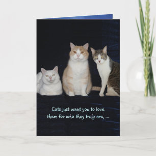 Funny Anpassade Cats Kort