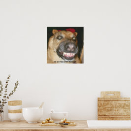 Funny Ansikte GSD Hund Matas inte efter midnatt Poster