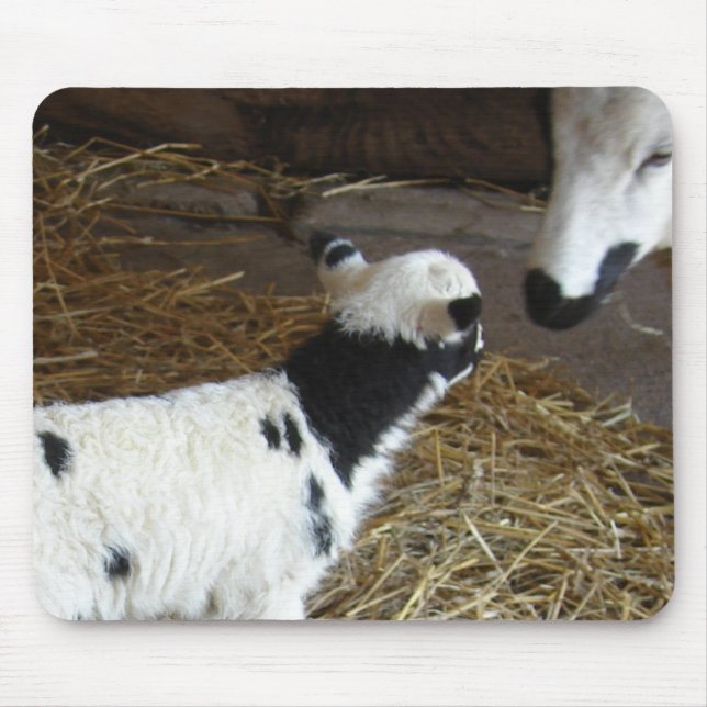 Funny Ansikte Lamb Musmatta (Framsidan)