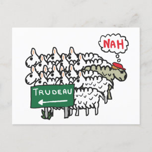 Funny Anti Trudeau Vykort