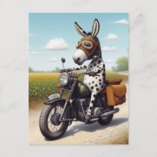 Funny Appaloosa Mule på motorcykel Vykort