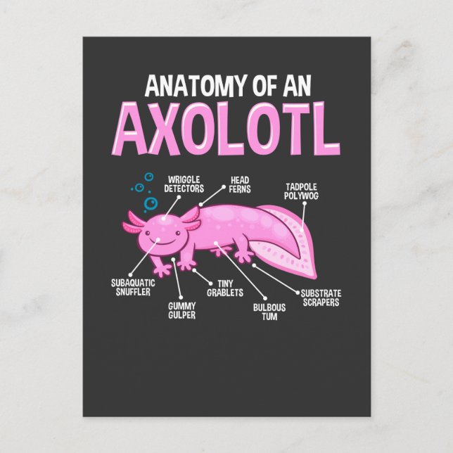 Funny Axolotl Anatomy Biology Cute Amphibian Vykort (Framsida)