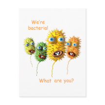 Funny Bacteria