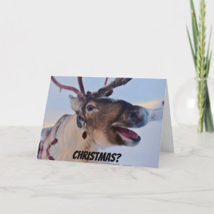 Funny Bah Humbug Reindeer julkort Kort