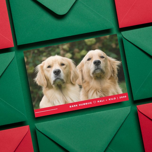 Funny Bark Humbug Hund Photo Jul Personlig Julkort (Skapare uppladdad)