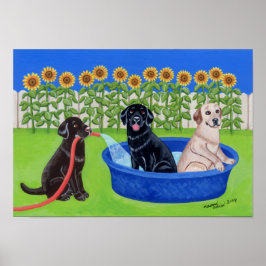 Funny Bassäng Party Labradors Artwork Poster