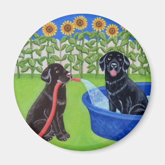 Funny Bassäng Party Labradors Magnet (Framsidan)