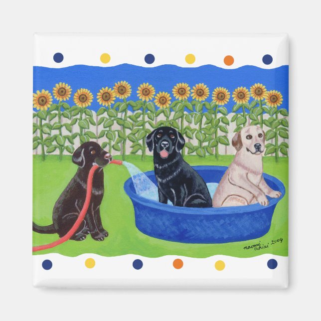 Funny Bassäng Party Labradors Magnet (Framsidan)