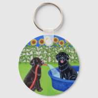 Funny Bassäng Party Labradors
