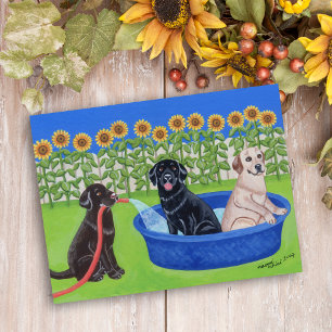 Funny Bassäng Party Labradors Vykort