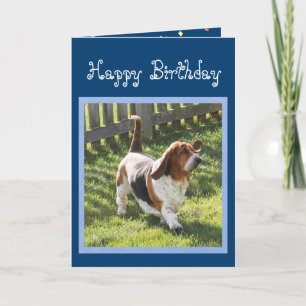 Funny Basset Hound på det akuta födelsekortet med  Kort