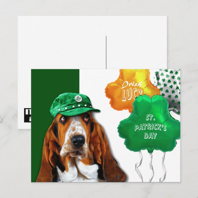 Funny Basset Hound St. Patrick's Day Postcard Vykort (Fram/baksida)