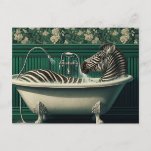 Funny Bathtub Zebra Postcard Vykort