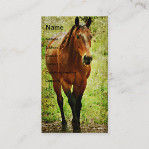 Funny Bay Horse Visitkort