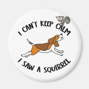 Funny Beagle Hund Chasing Squirrel Magnet