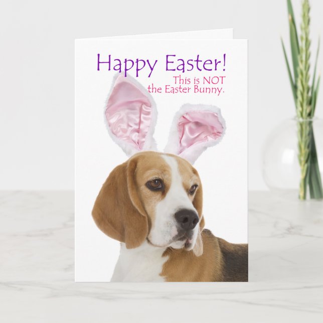 Funny Beagle Påsk Card Helgkort (Framsida)
