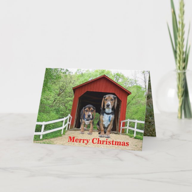 Funny Beagle Red Covered Bridge jul Helgkort (Framsida)