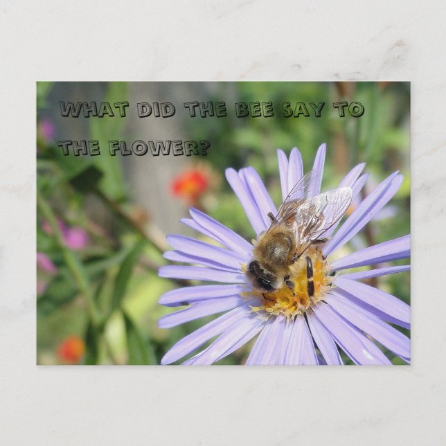 Funny Bee Postcard Vykort (Framsida)