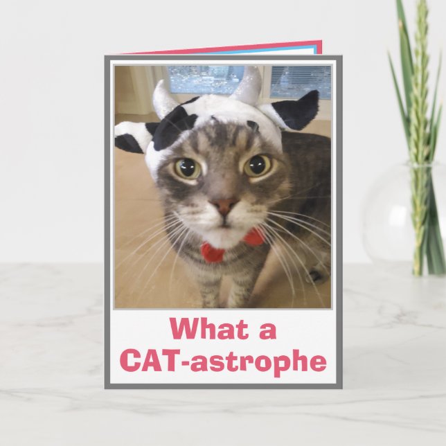 Funny Belated Birthday Kort (Framsida)