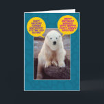 Funny Bi-Polar Birthday Bear Kort<br><div class="desc">Vem kan motstå denna söta polar, sitta i sten och tala om alla negativa aspekter av födelsedagar och i ett andra andetag tala om hela roligten, om födelsedagarnas positiva aspekter. Blanda? Inte om du är en bipolär björn. Insidan av kortet säger: "Jag har dig ett kort med två polar". Omfattar...</div>