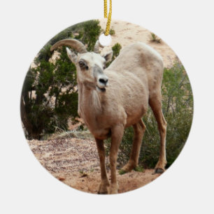 Funny Bighorn Sheep i Zion nationalpark Julgransprydnad Keramik