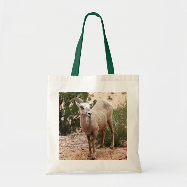 Funny Bighorn Sheep i Zion nationalpark Tygkasse (Framsidan)
