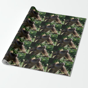 Funny Billy Goat Porträtt Presentpapper