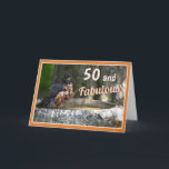 Funny Bird Humourous Fabulous 50 Birthday Card Helgkort<br><div class="desc">Lustigt fågelfödelsedagskort med ett underbart foto av en rolig Robin avslutade precis upp i fågelbadet. Ändra ålders- och insidermeddelandet med hjälp av de enkla anpassningsalternativen verktyg.</div>