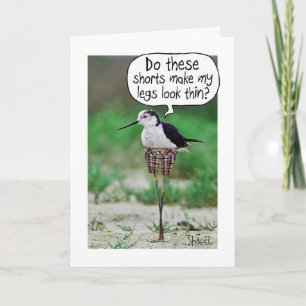 FUNNY BIRD KORT Card eller gåva
