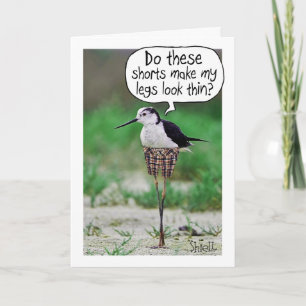 FUNNY BIRD KORT Card eller gåva