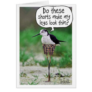 FUNNY BIRD KORT Card eller gåva