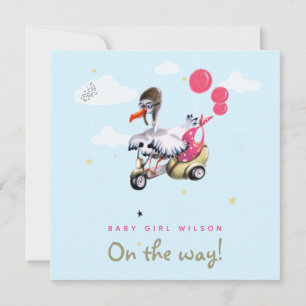 Funny Bird Rosa Balloon Girl Simple Cute Gravid Meddelande