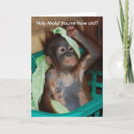 Funny Birthday Baby Orangutan Kort