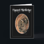 Funny Birthday, Bison, Buffalo Animals Kort<br><div class="desc">Lönndag,  Bison,  Buffalo Animals</div>