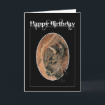 Funny Birthday, Bison, Buffalo Animals Kort<br><div class="desc">Lönndag,  Bison,  Buffalo Animals</div>