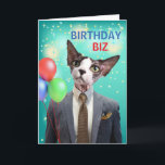 Funny Birthday Biz Cat i Kostym och Tie Kort<br><div class="desc">Födelsedag Biz. Ändra omslagstexten och det inre meddelandet som du vill. Ett pappert hälsningskort med hårlöst Bambino-katt med kostym och slips finns på kortets omslag. Gör dina stora affärer på din speciella dag! Art,  bild och versell copyright © Shoaff Ballanger Studios,  2025.</div>