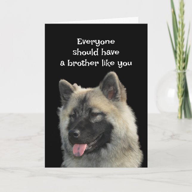 Funny Birthday Brother Hund Animal Humor Kort (Framsida)