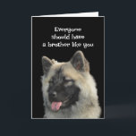 Funny Birthday Brother Hund Animal Humor Kort<br><div class="desc">Alla borde ha en bror som du. Jag förstår inte varför jag måste vara den enda som lider</div>