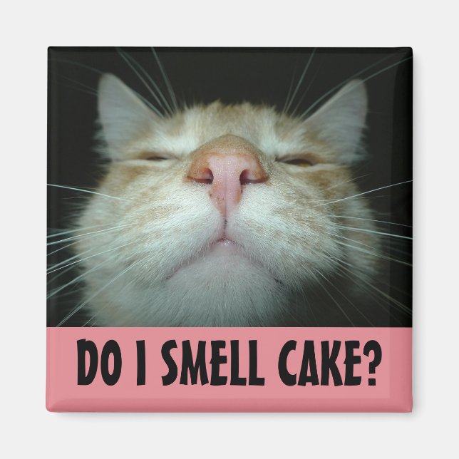 FUNNY BIRTHDAY CAT FRIDGE MAGNETS MAGNET (Framsidan)