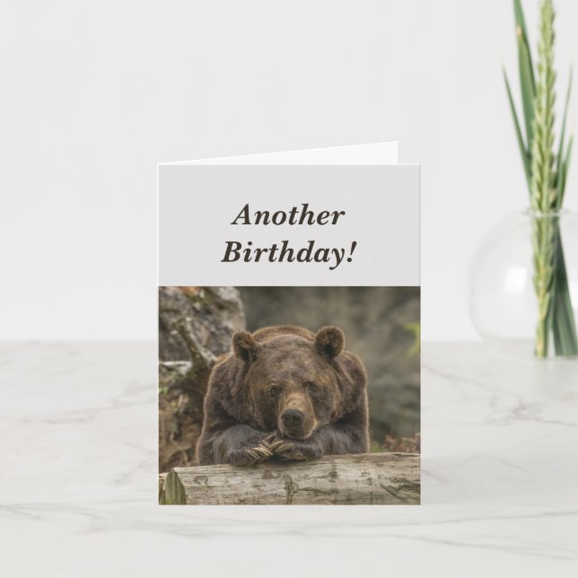 Funny Birthday it's Grizzly Bear Humor Kort (Framsida)