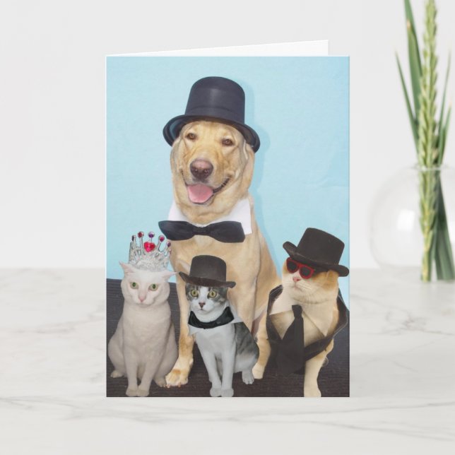 Funny Birthday Kort (Framsida)