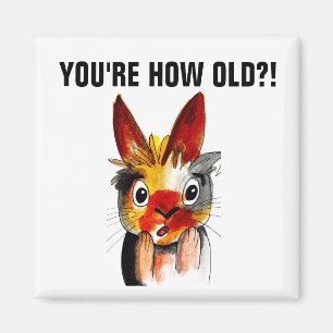 FUNNY BIRTHDAY MAGNETS, ÄR DU HUR GAMMAL? MAGNET